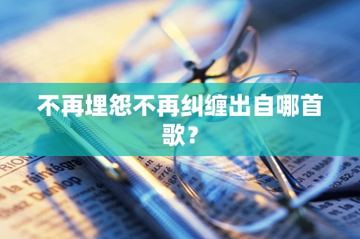 不再埋怨不再纠缠出自哪首歌？