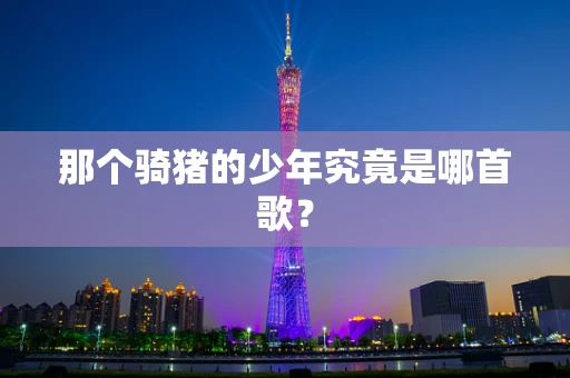 那个骑猪的少年究竟是哪首歌？