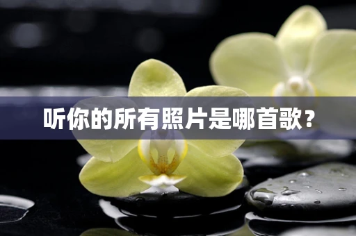 听你的所有照片是哪首歌？