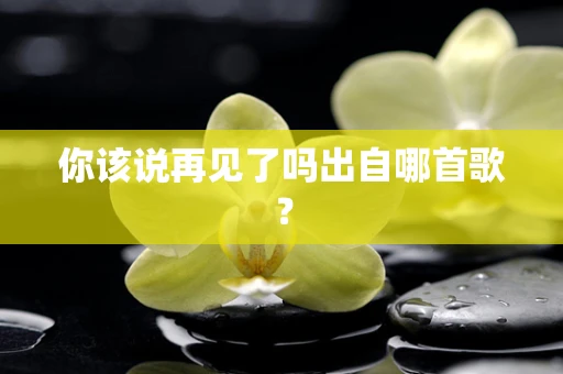 你该说再见了吗出自哪首歌？