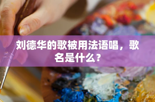 刘德华的歌被用法语唱，歌名是什么？