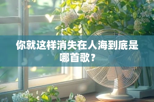 你就这样消失在人海到底是哪首歌？