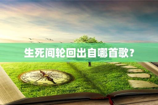 生死间轮回出自哪首歌？