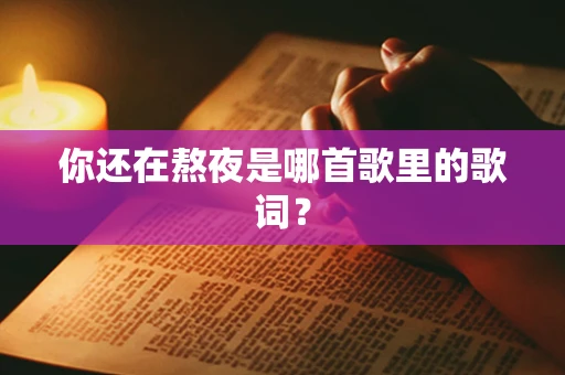 你还在熬夜是哪首歌里的歌词？