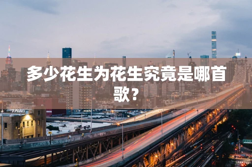 多少花生为花生究竟是哪首歌？
