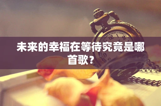 未来的幸福在等待究竟是哪首歌？