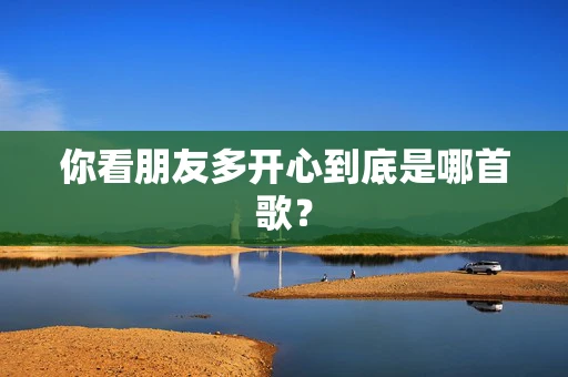 你看朋友多开心到底是哪首歌？