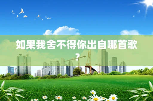 如果我舍不得你出自哪首歌？