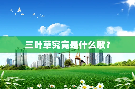 三叶草究竟是什么歌？