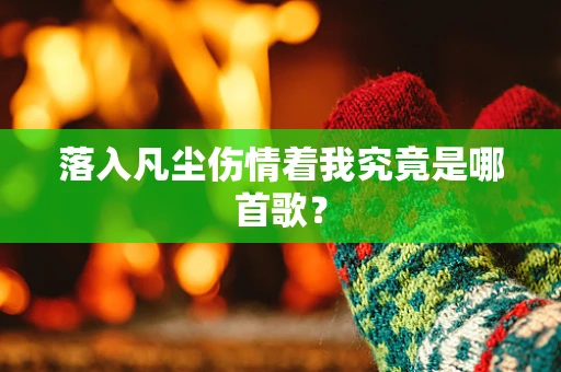 落入凡尘伤情着我究竟是哪首歌？