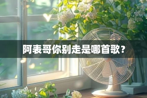 阿表哥你别走是哪首歌？