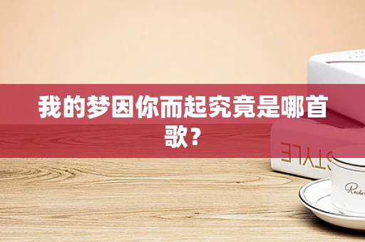 我的梦因你而起究竟是哪首歌？
