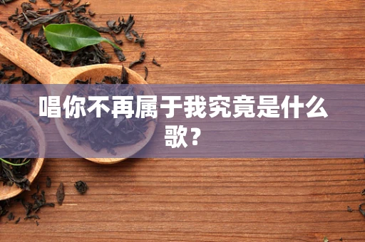唱你不再属于我究竟是什么歌？