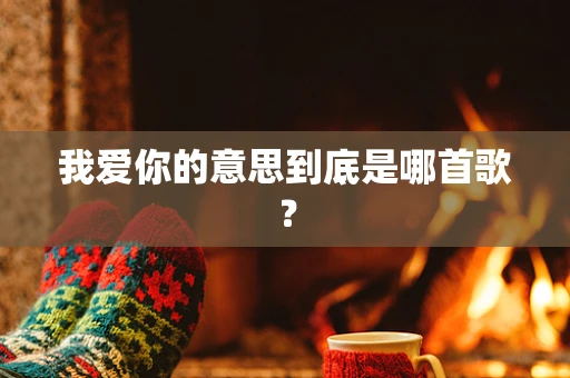 我爱你的意思到底是哪首歌？