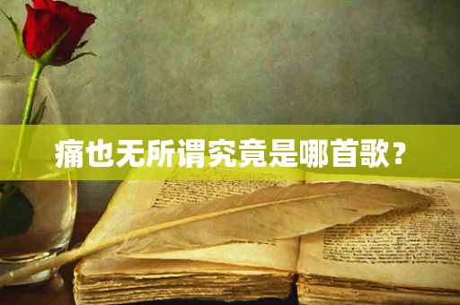 痛也无所谓究竟是哪首歌？