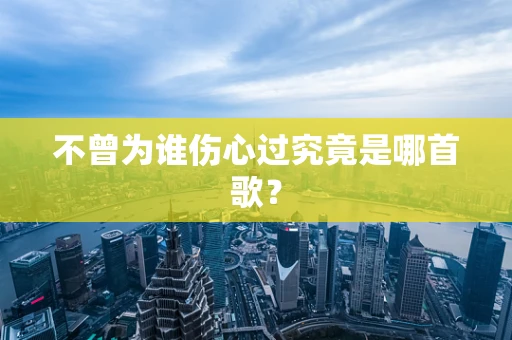 不曾为谁伤心过究竟是哪首歌？