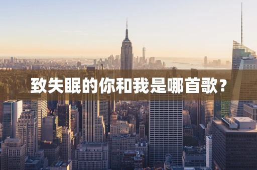 致失眠的你和我是哪首歌？