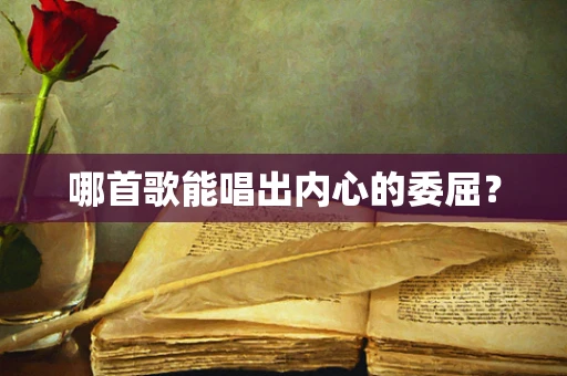 哪首歌能唱出内心的委屈？