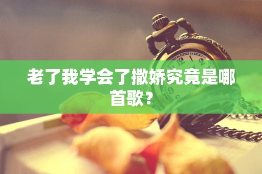 老了我学会了撒娇究竟是哪首歌？