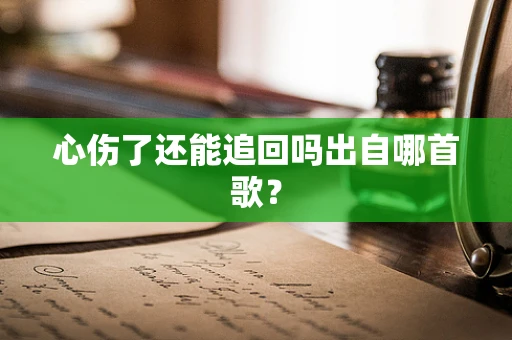 心伤了还能追回吗出自哪首歌？