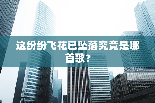 这纷纷飞花已坠落究竟是哪首歌？