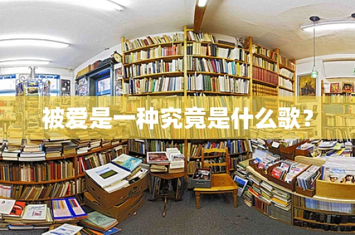 被爱是一种究竟是什么歌？
