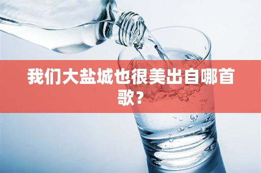 我们大盐城也很美出自哪首歌？