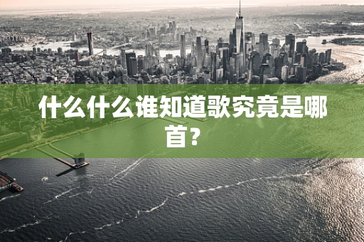 什么什么谁知道歌究竟是哪首？