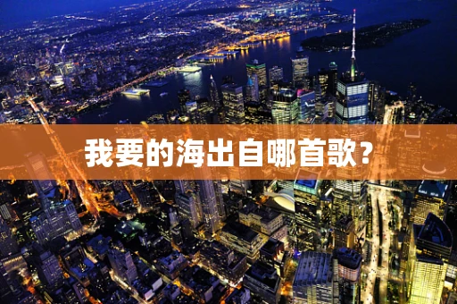 我要的海出自哪首歌？
