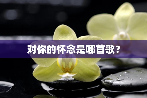 对你的怀念是哪首歌？