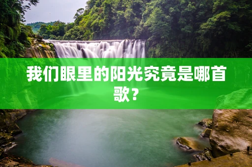 我们眼里的阳光究竟是哪首歌？