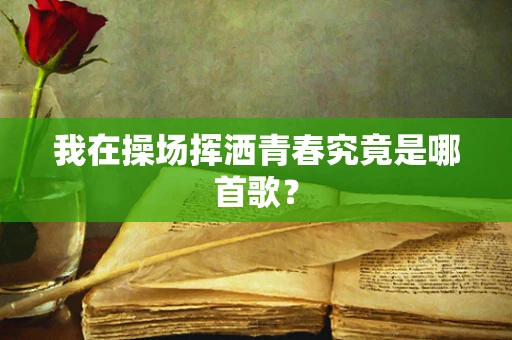 我在操场挥洒青春究竟是哪首歌？