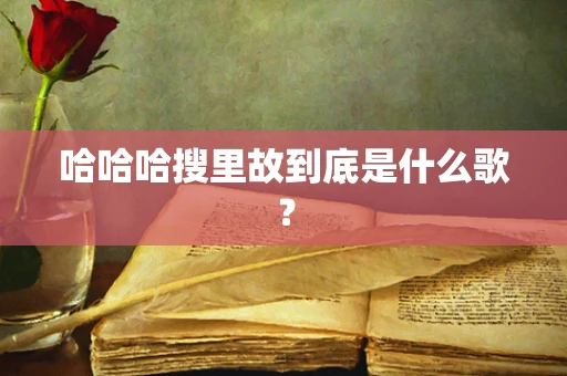 哈哈哈搜里故到底是什么歌？