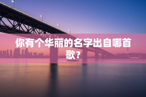 你有个华丽的名字出自哪首歌？