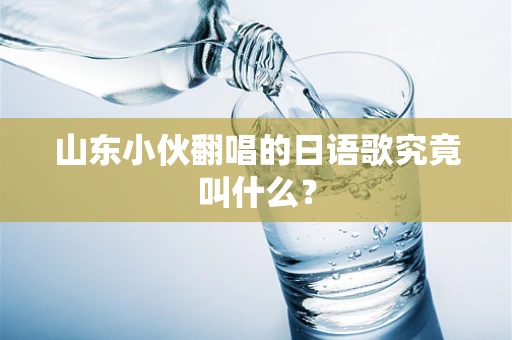 山东小伙翻唱的日语歌究竟叫什么？
