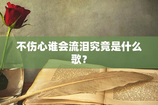 不伤心谁会流泪究竟是什么歌？