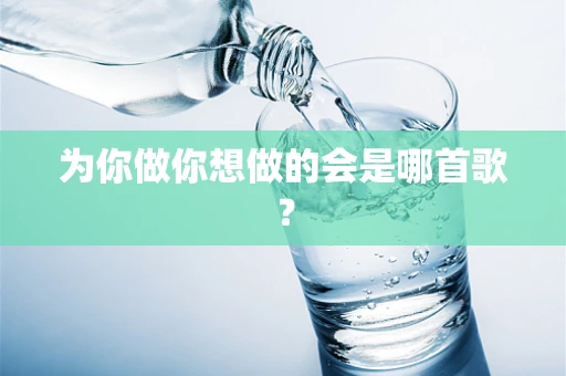 为你做你想做的会是哪首歌？
