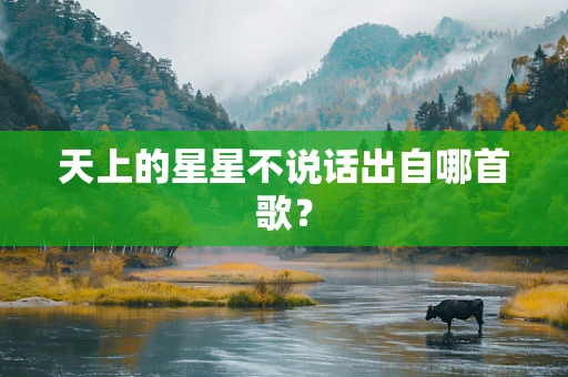 天上的星星不说话出自哪首歌？