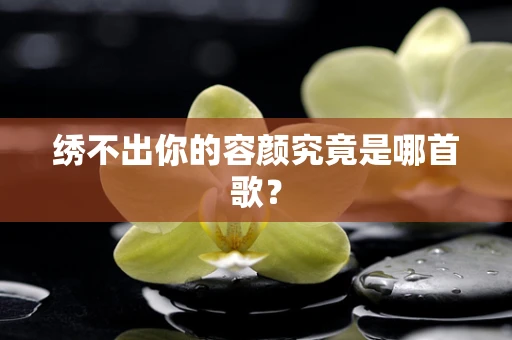 绣不出你的容颜究竟是哪首歌？