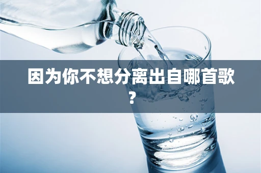 因为你不想分离出自哪首歌？