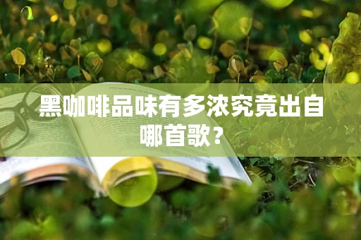 黑咖啡品味有多浓究竟出自哪首歌？