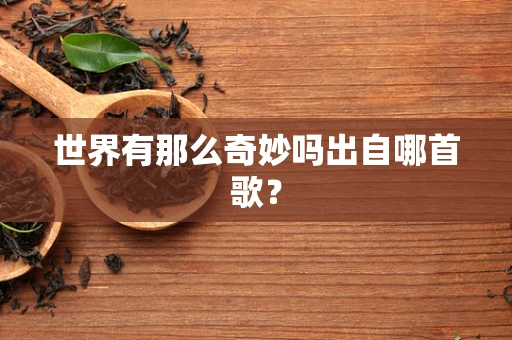 世界有那么奇妙吗出自哪首歌？