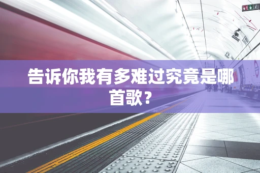 告诉你我有多难过究竟是哪首歌？