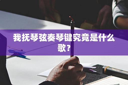 我抚琴弦奏琴键究竟是什么歌？