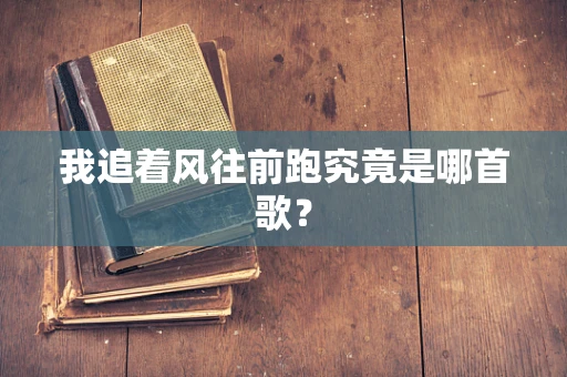 我追着风往前跑究竟是哪首歌？
