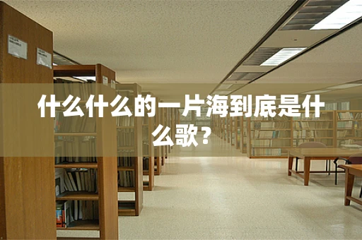 什么什么的一片海到底是什么歌？
