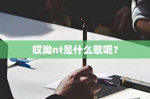 哎呦nt是什么歌呢？