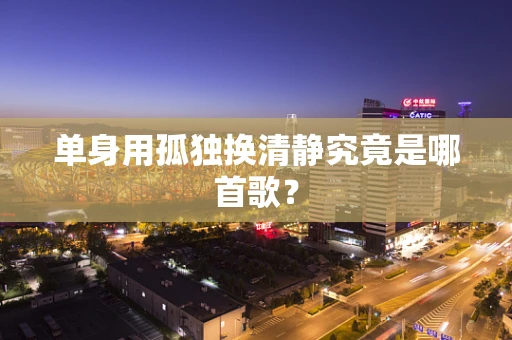 单身用孤独换清静究竟是哪首歌？