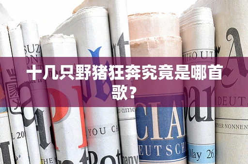 十几只野猪狂奔究竟是哪首歌？