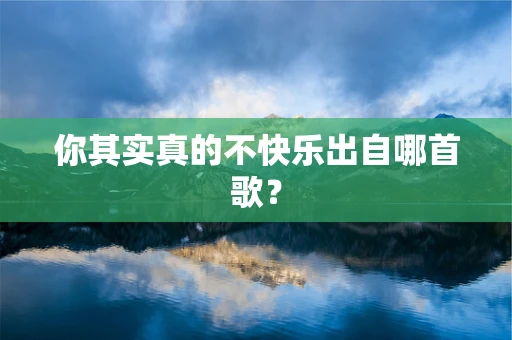 你其实真的不快乐出自哪首歌？